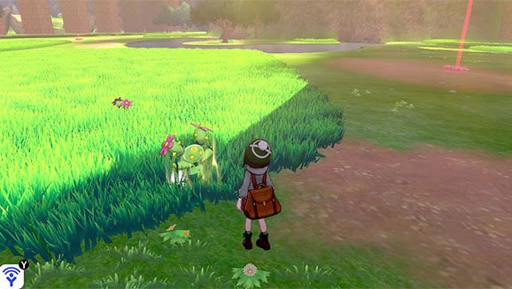 Pokemon Sword Shield How To Increase Chances Of Shiny Official By Nintendo Digistatement