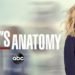 Grey's Anatomy Season 16 Episode 19 Release Date, Promo (Watch Online)