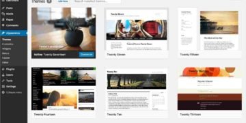 WordPress Warning InfiniteWP client plugin bug