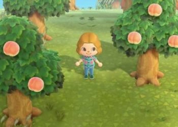 Animal Crossing: New Horizons Fruits List With Sell Price
