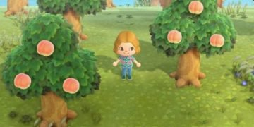 Animal Crossing: New Horizons Fruits List With Sell Price