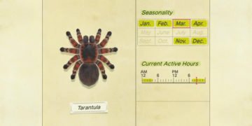 How To Get 8000 Bells in Animal Crossing New Horizons By Catching Trantula