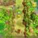 How to Evolve Pokemon in Pokemon Mystery Dungeon Rescue Team DX