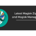 Magisk v20.4