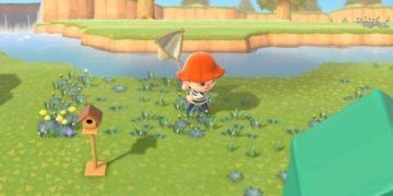 Animal Crossing: New Horizons Bugs List, Time To Catch And Their Price