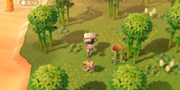 Animal Crossing New Horizons – Mystery Island Tour Guide, Types, Best Islands