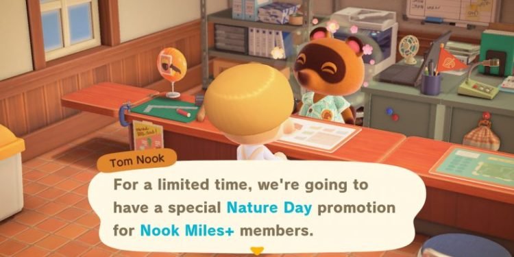 Animal Crossing New Horizons