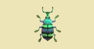 Blue Weevil Beetle Animal Crossing New Horizons