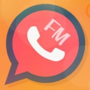 Download Whatsapp Mod apks 2020: GB Whatsapp WhatsApp Plus FM Download Whatsapp Mod apks 2020: GB Whatsapp WhatsApp Plus FM