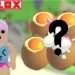 Roblox Adopt Me: How to Hatch Eggs