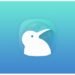 Kiwi Browser (open-source)