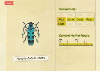 How to Catch Rosalia Batesi In Animal Crossing: New Horizons