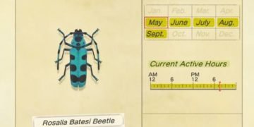 How to Catch Rosalia Batesi In Animal Crossing: New Horizons