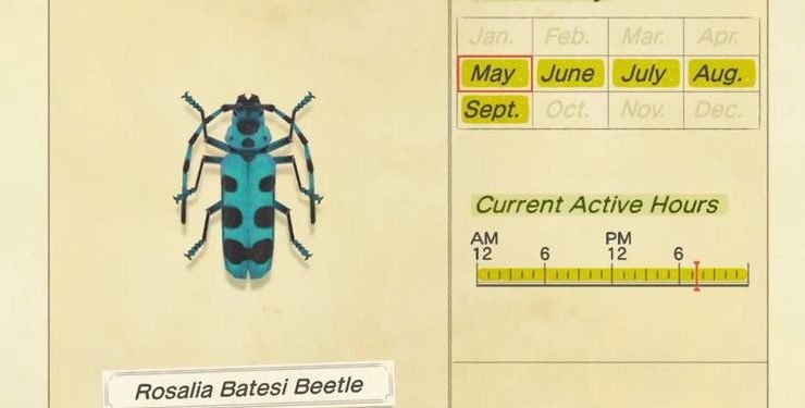 How to Catch Rosalia Batesi In Animal Crossing: New Horizons