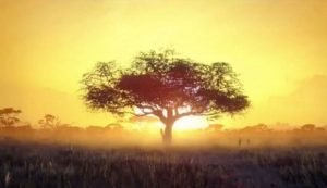 Rainbow Six Siege Operation Steel Leak reveals Two New Operators Ace