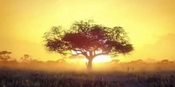 New Operators Rainbow Six Siege