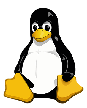 Latest linux kernel version 5.8