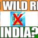 Wild Rift in India Release Date League of LEgends