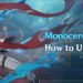 Monoceros Caeli Genshin Impact How to unlock the quest
