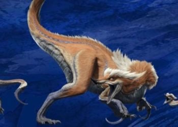 Monster Hunter Rise: Great Izuchi Monster Hunt Guide