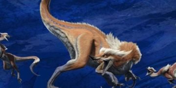Monster Hunter Rise: Great Izuchi Monster Hunt Guide