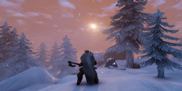 How to import & upload world to Dedicated server in Valheim?