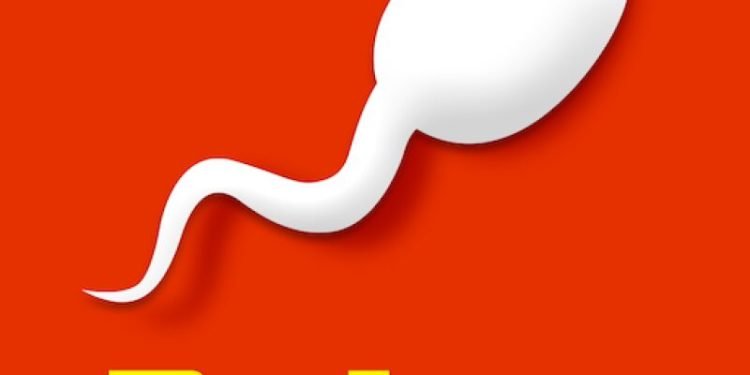 How to play Bitlife on PC/Laptop