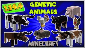 Genetic Animals 