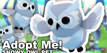 Snowy owl Adopt me