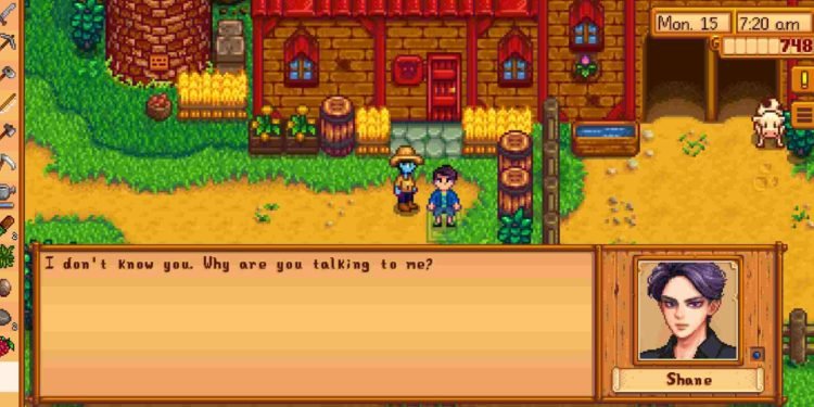 Stardew Valley potrait mod in action
