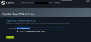 Steam API key error : How to fix it? - DigiStatement