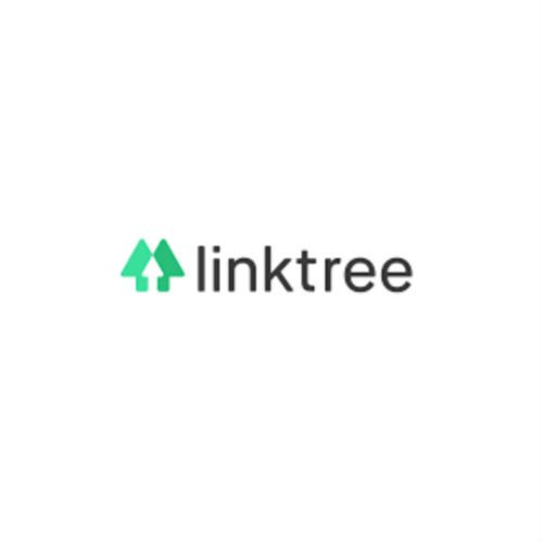 Linktree not working in 2021 : How to fix it? - DigiStatement