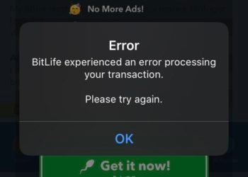 Bitlife experienced an error processing your transaction