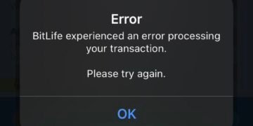 Bitlife experienced an error processing your transaction
