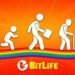 Bitlife cover image