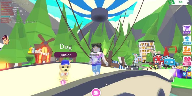 Adopt Me Hacked Account : Get it back by contacting devs