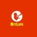 Bitlife progress