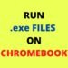 .exe files on Chromebook