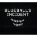 FNF The Blueballs Incident Mod