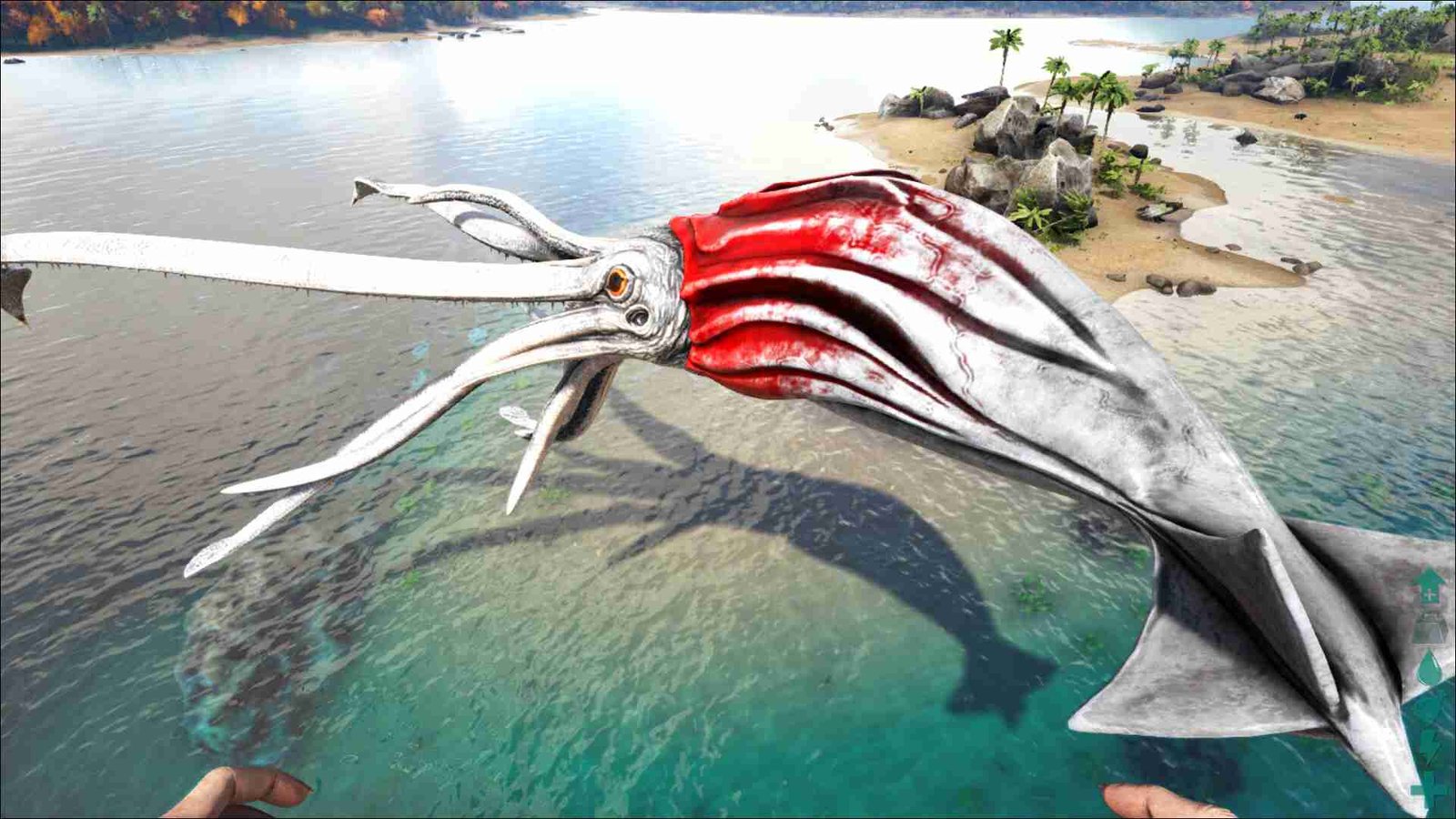 Tusoteuthis ARK