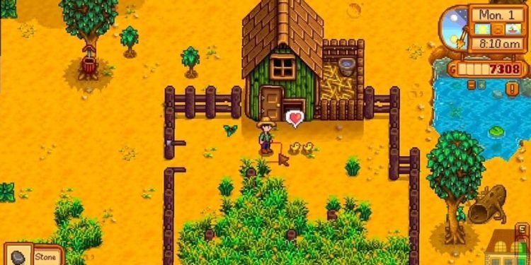 Stardew Valley Chickens