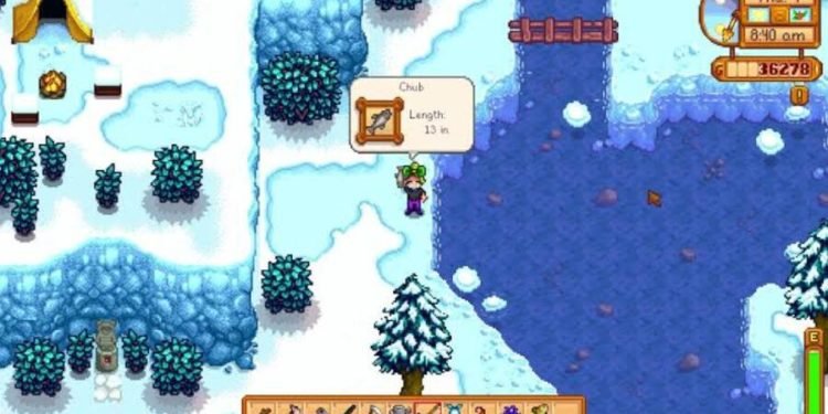 chub-stardew-valley-location-how-to-catch-gameinstants