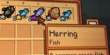 Herring