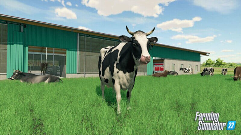 Farming Simulator 22 Animals and Wildlife List