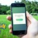 can you change your Pokemon Go name: How to do it?