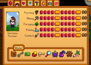 Stardew Valley Full Wallet