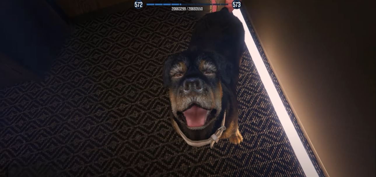 can you pet chop in gta 5 story mode