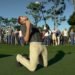 PGA Tour 2K23 Release Date