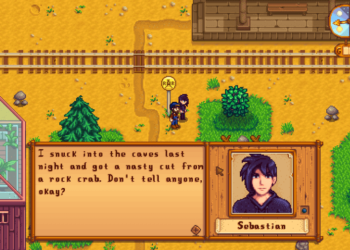 what does Sebastian like