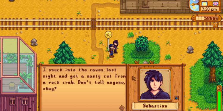 what does Sebastian like